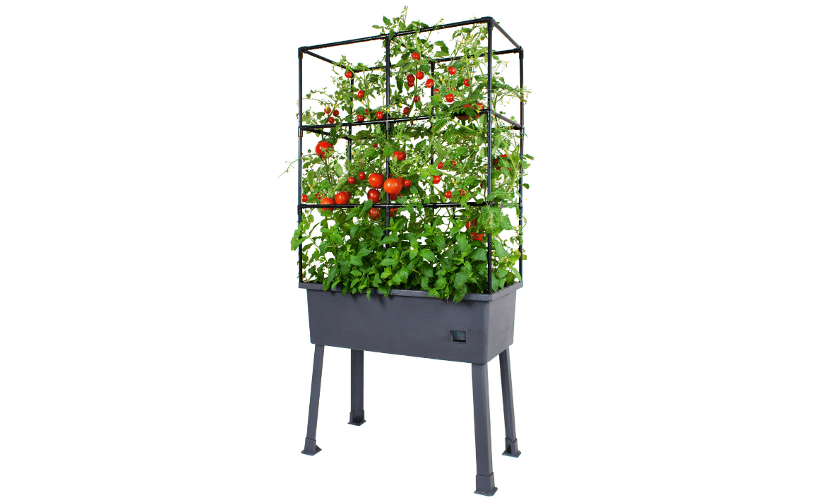 Frame It All Large Self-Watering Elevated Planter w/ Trellis Frame and Greenhouse Cover