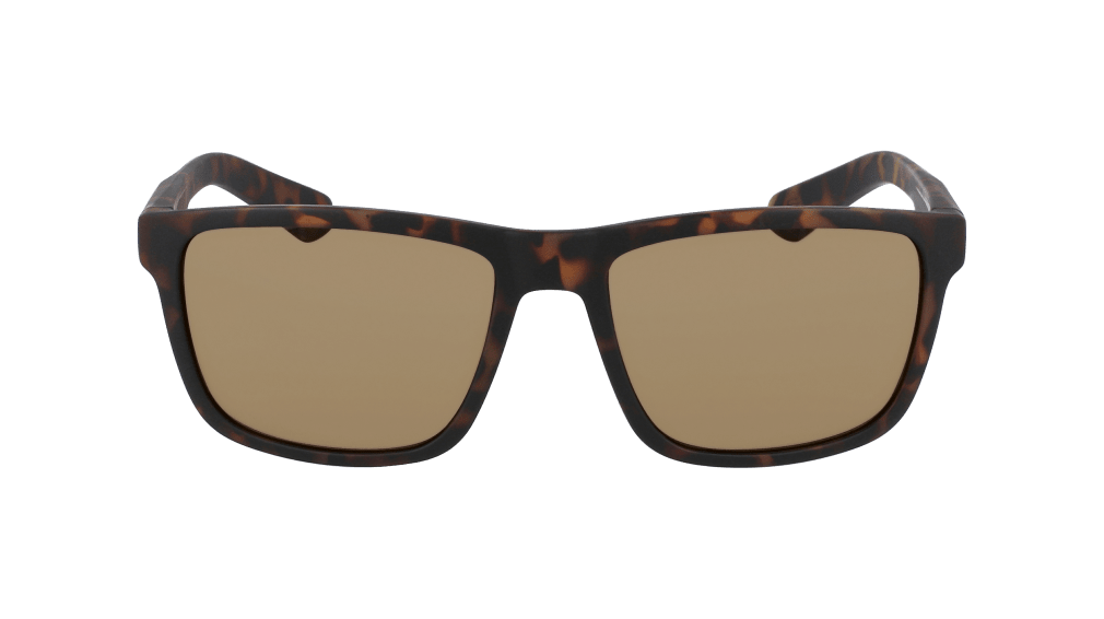 Sunglasses Reed in Brown / Dragon