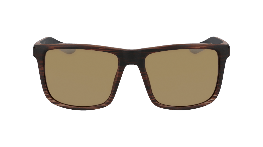 Sunglasses Meridien LL in Brown / Dragon