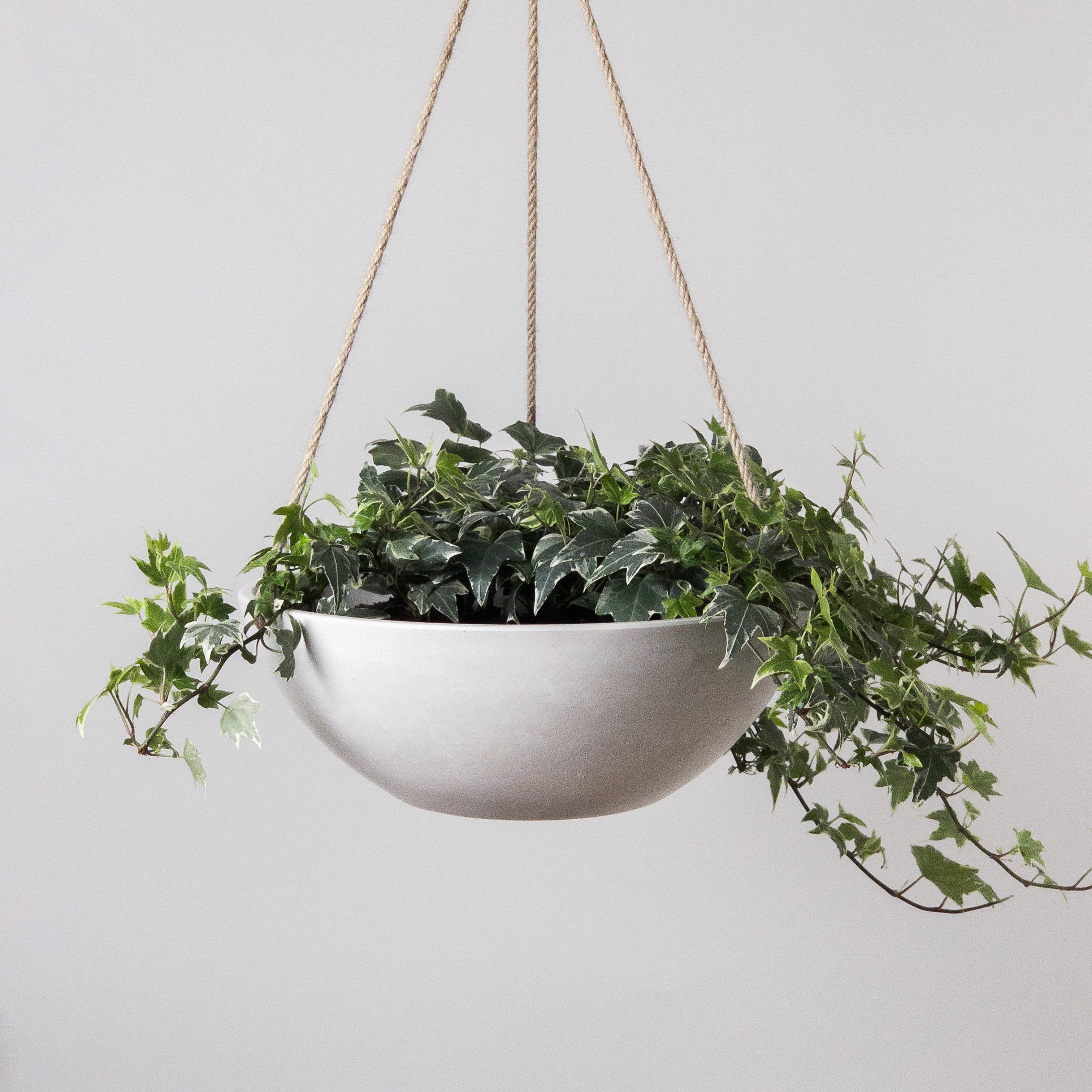 12" Signature Stone Hanging Planter