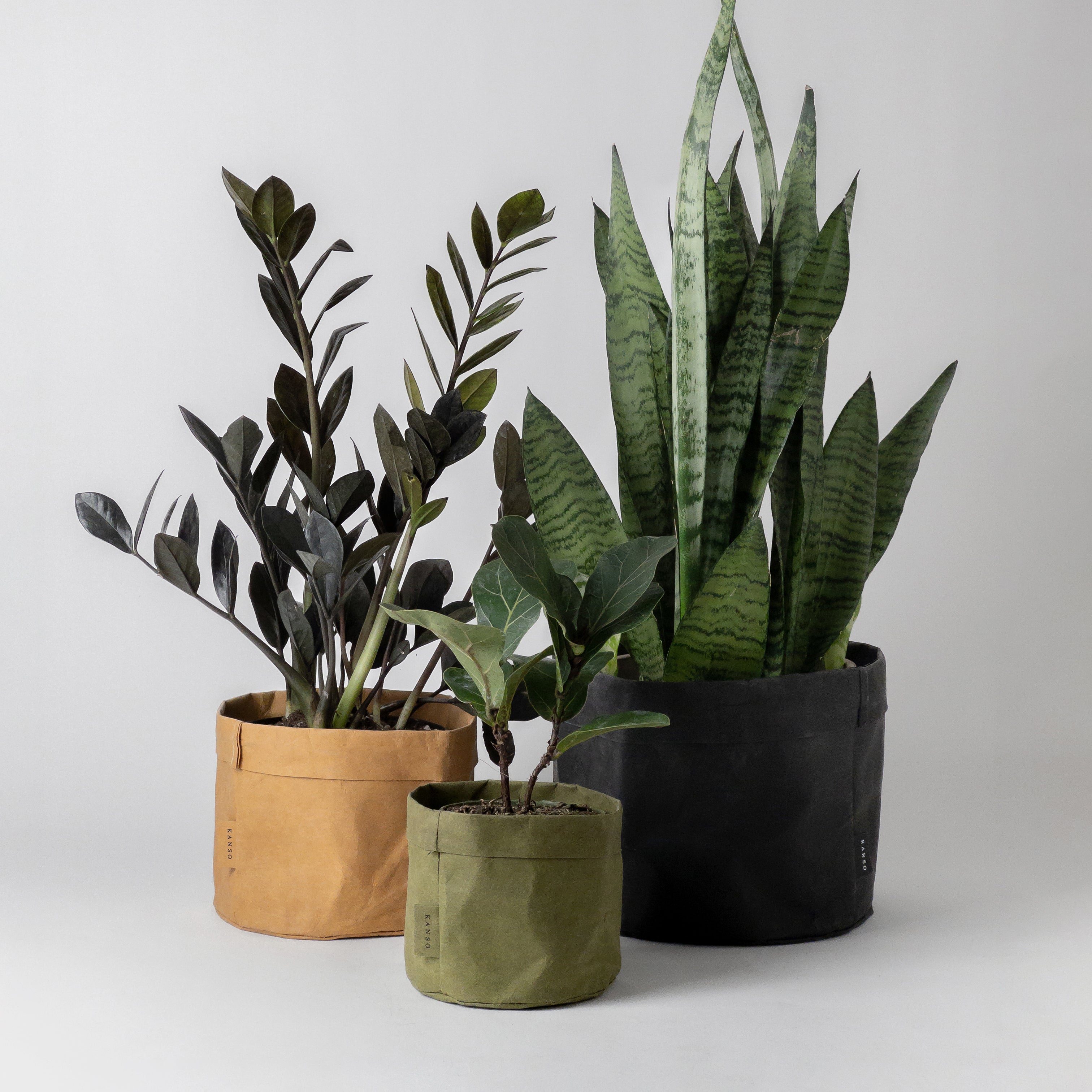 Three Set / Kami Paper Planters