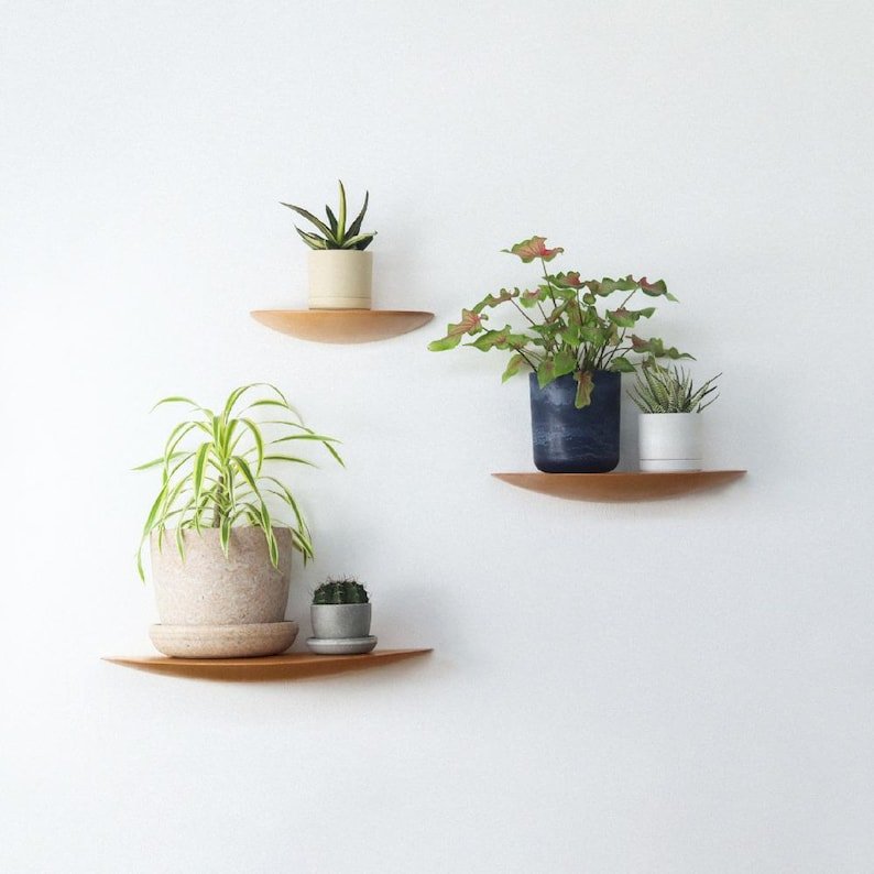 Wall Mounted Floating Plant Shelf (Beech)