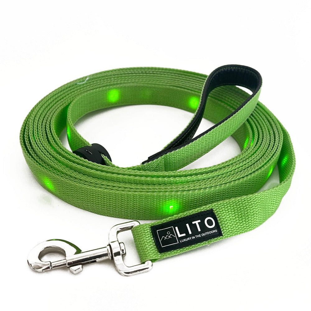 Light Up Dog Leash  - Green