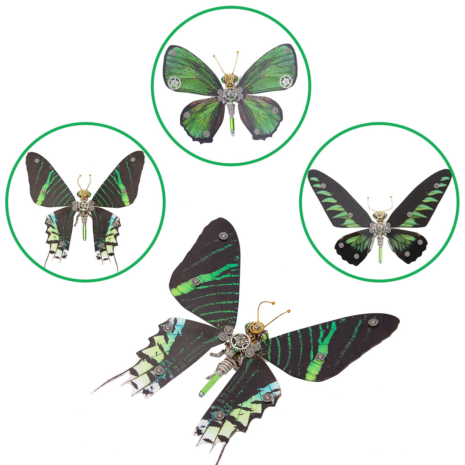 200PCS+ Steampunk Metal Assembly Butterfly Chrysiridia Rhipheus, Ornithoptera Meridionalis & Chrysozephyrus