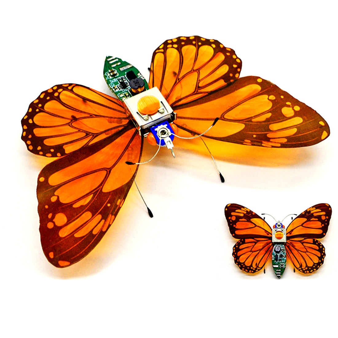 Butterfly Model DIY Assembly Mechanical Insect Puzzle Handmade Toy Set with Voice-Activated Photo Frame