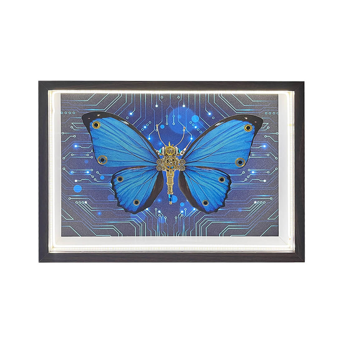 DIY Steampunk Butterfly 3D Metal Model Kits with Circuit Board Framed Art