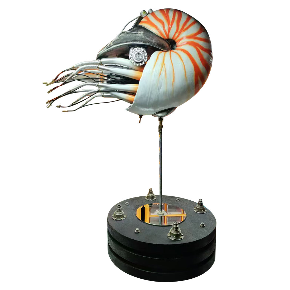 LED Metal Nautilus Sculpture for Display