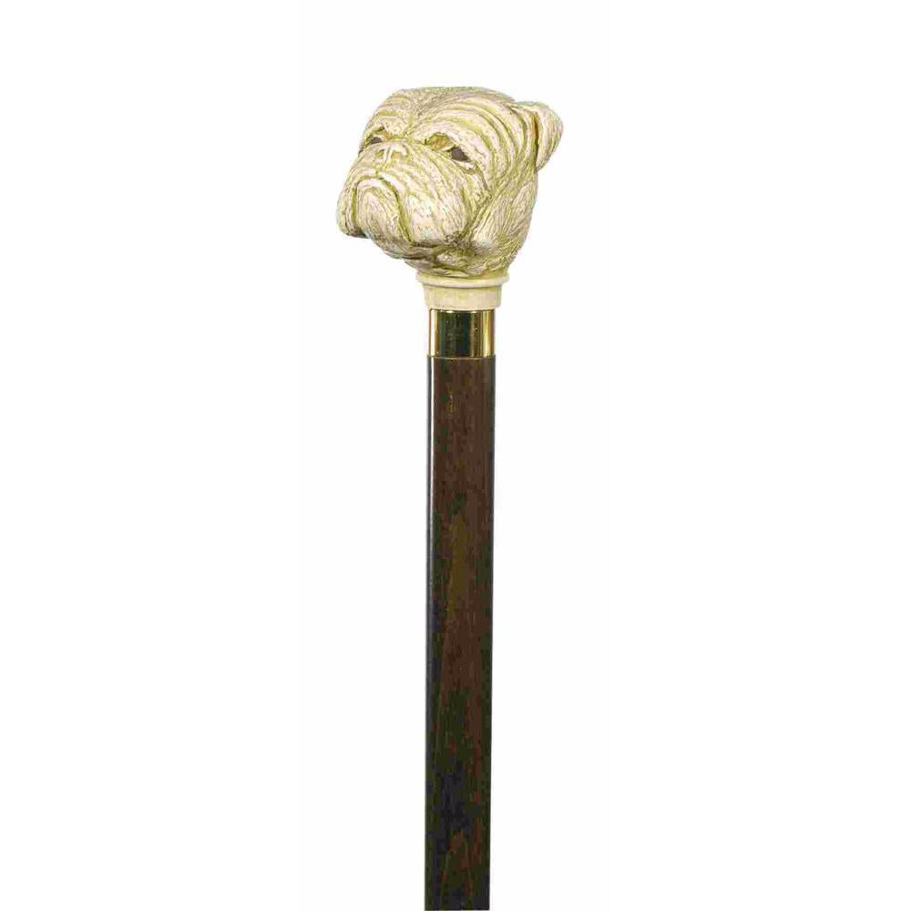 Bulldog Cane with imitation derby and Gilt Collar