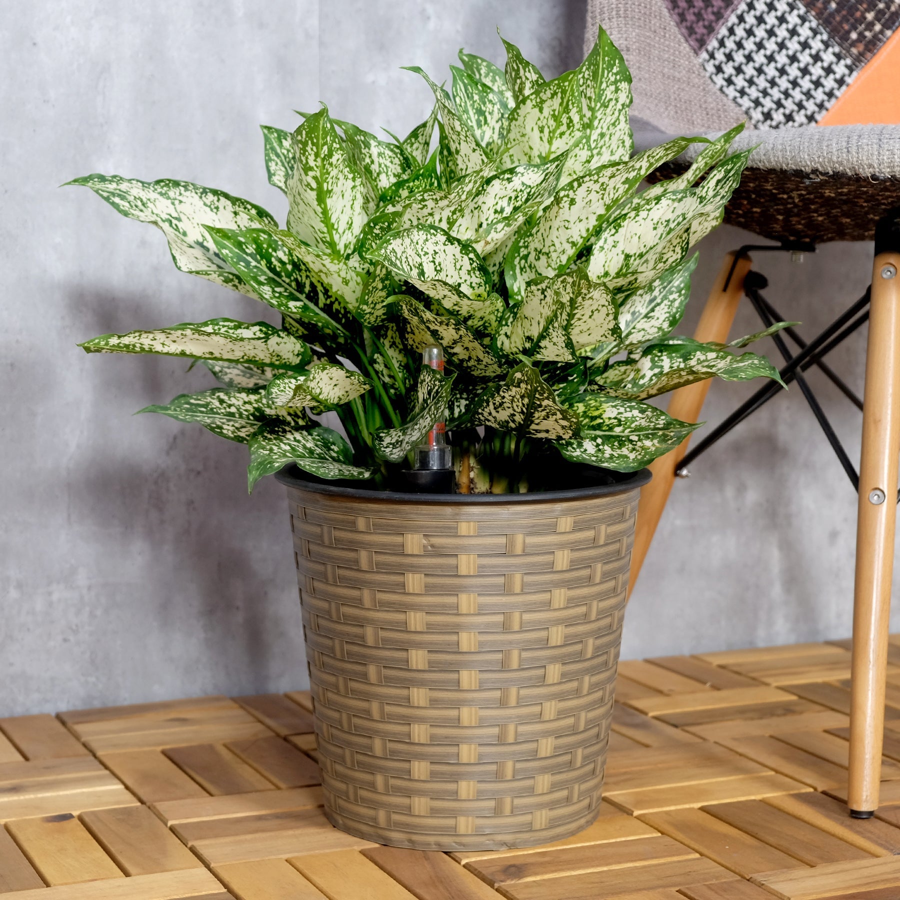 13.4 Self-watering Wicker Decor Planter for Indoor and Outdoor - Round - Natural