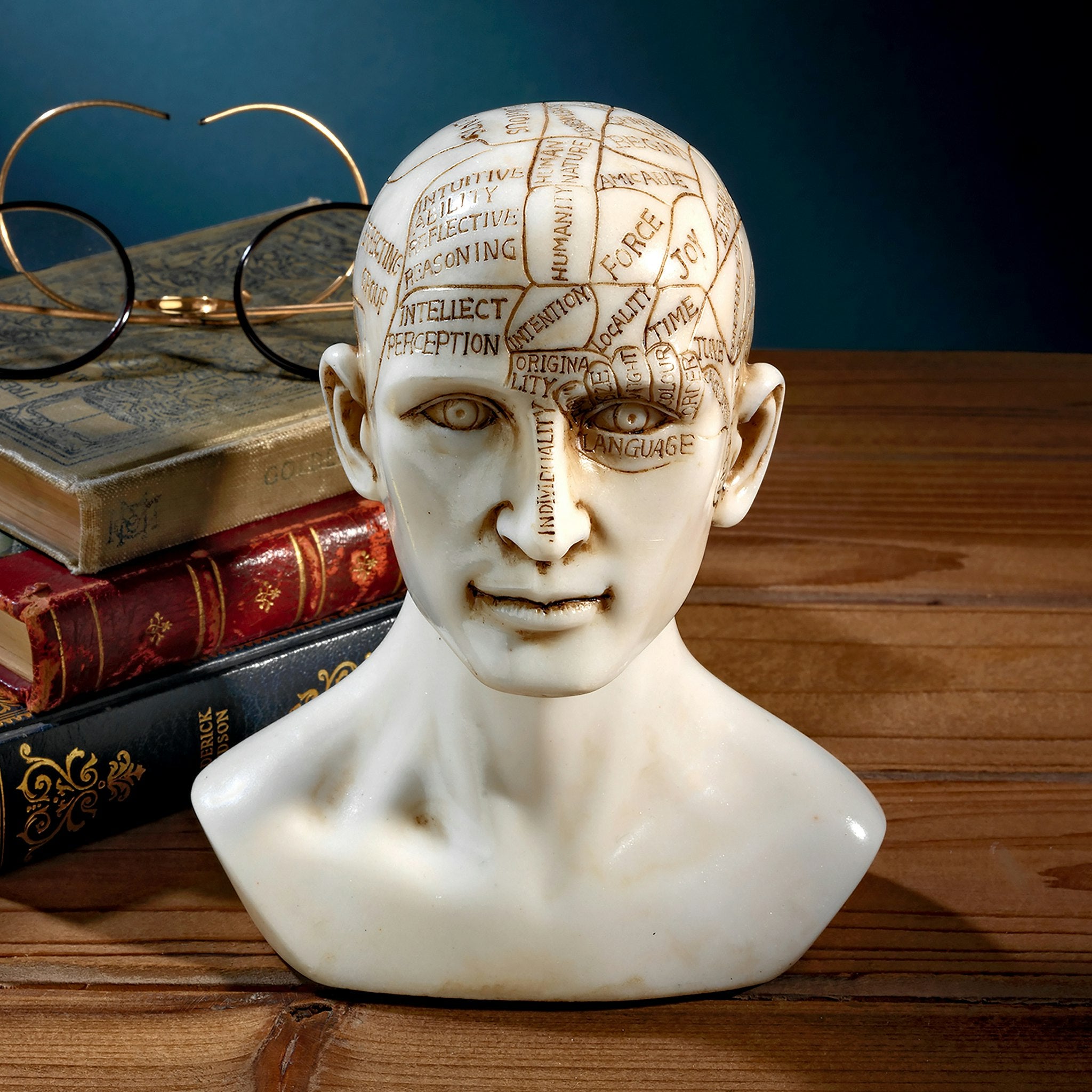 Phrenology the Science of the Brain Victorian Replica Statue