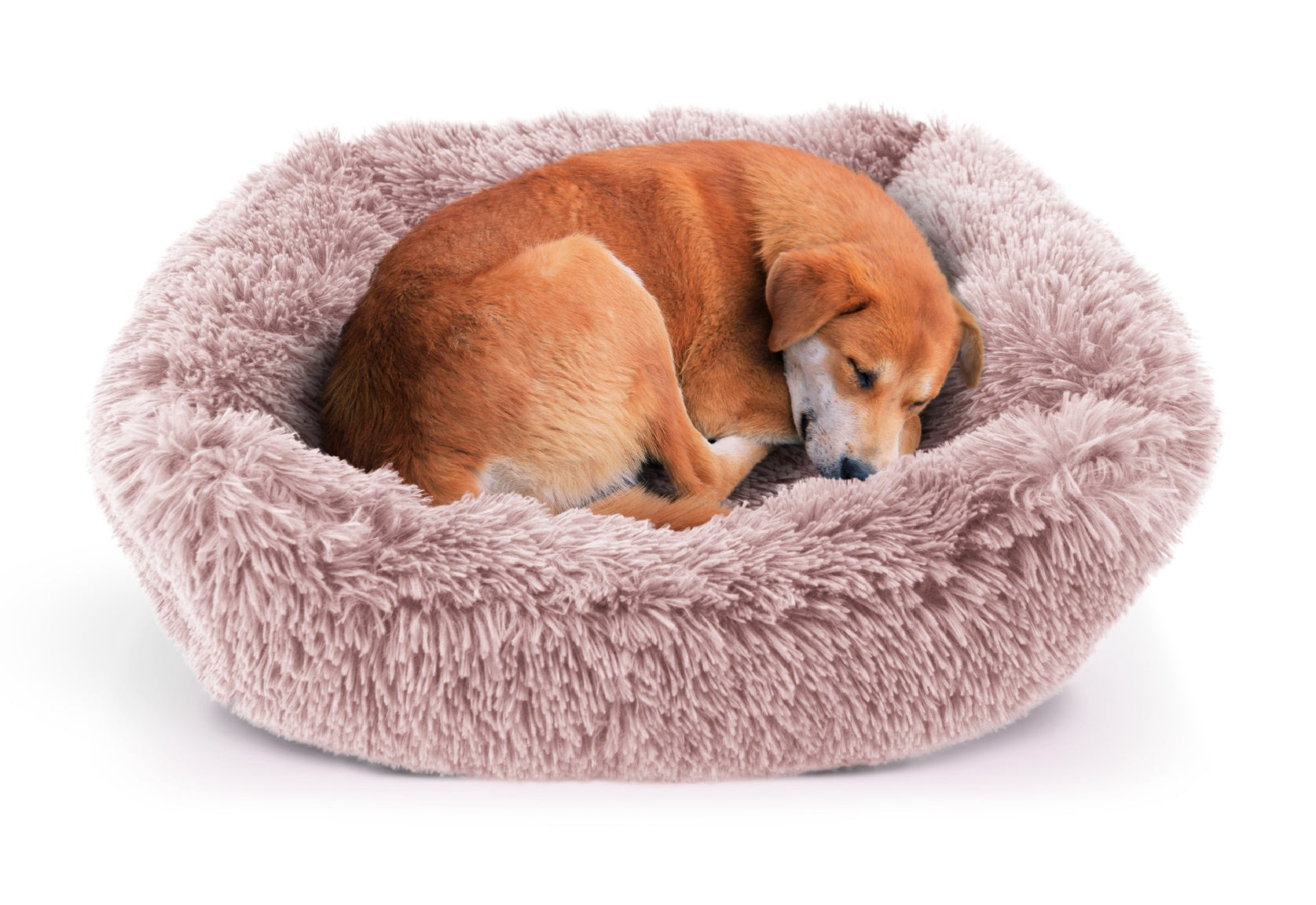 Details Dog Bed for Small Medium Dogs, Plush Calming Sleeping Cuddler for Pet, Super Lux Shaggy Fur Cushion Beds