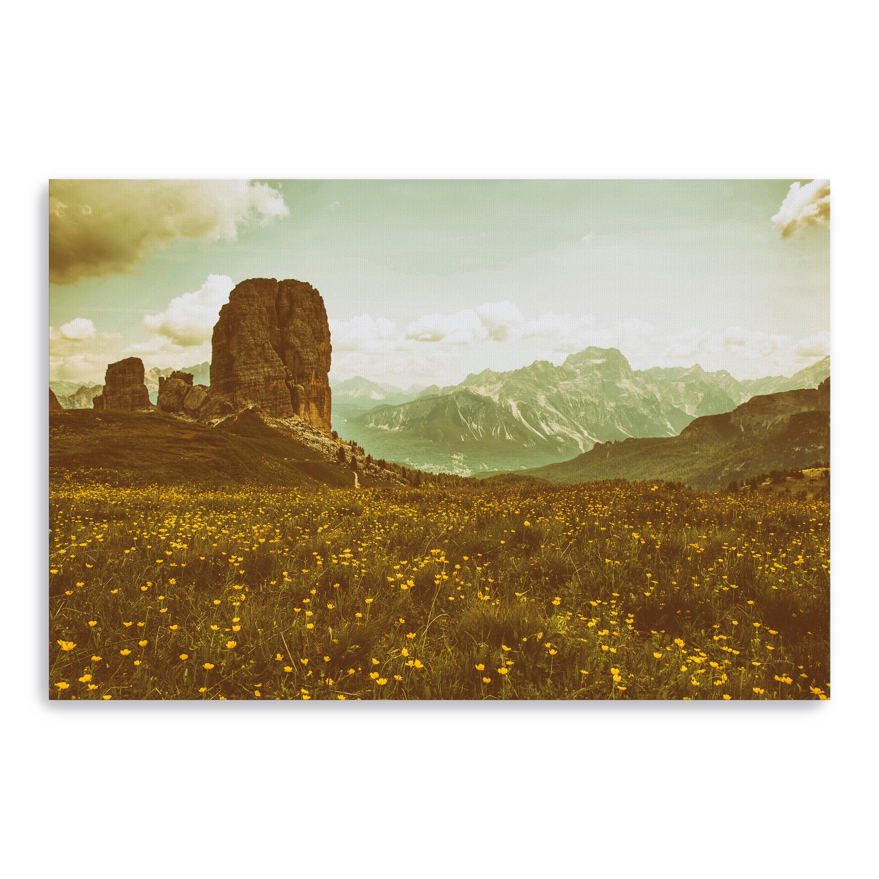 Floral Fields Canvas Giclee