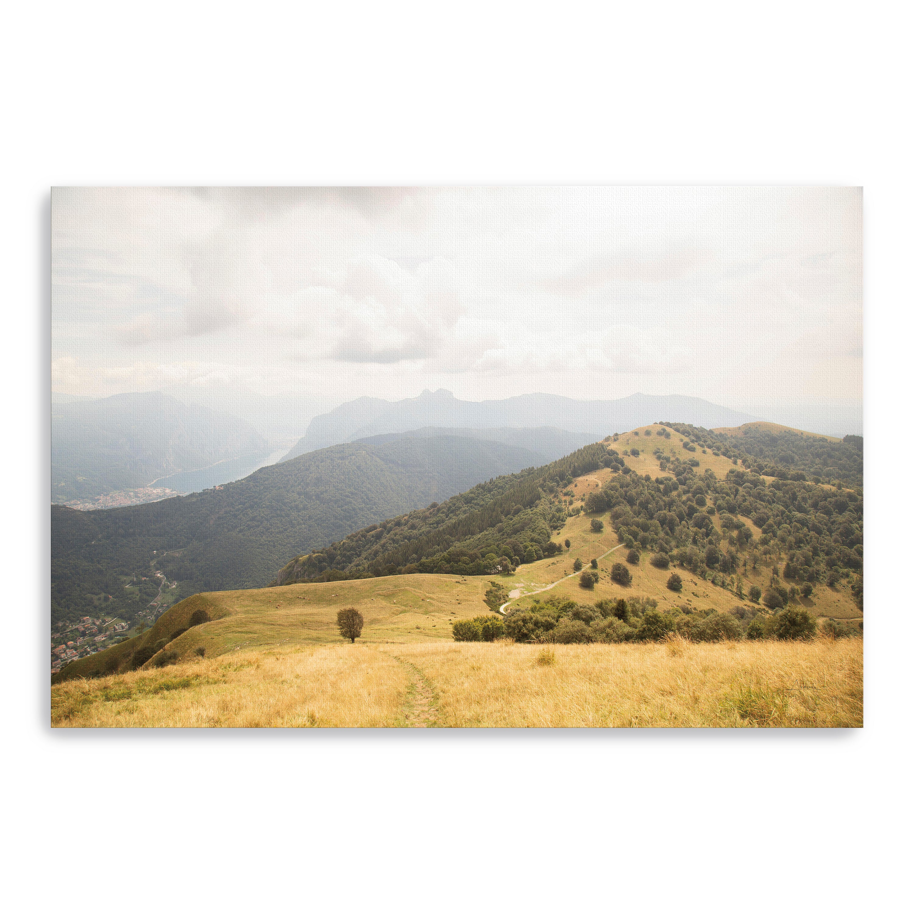 Grassy Hills and Mountains Canvas Giclee