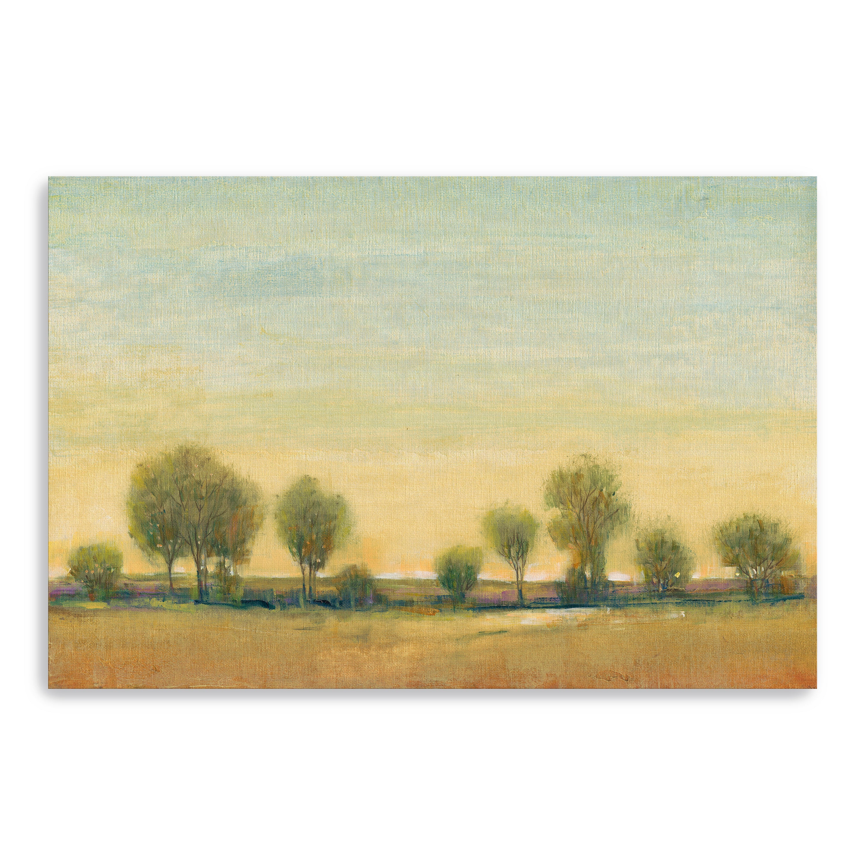 Morning Sun I Canvas Giclee