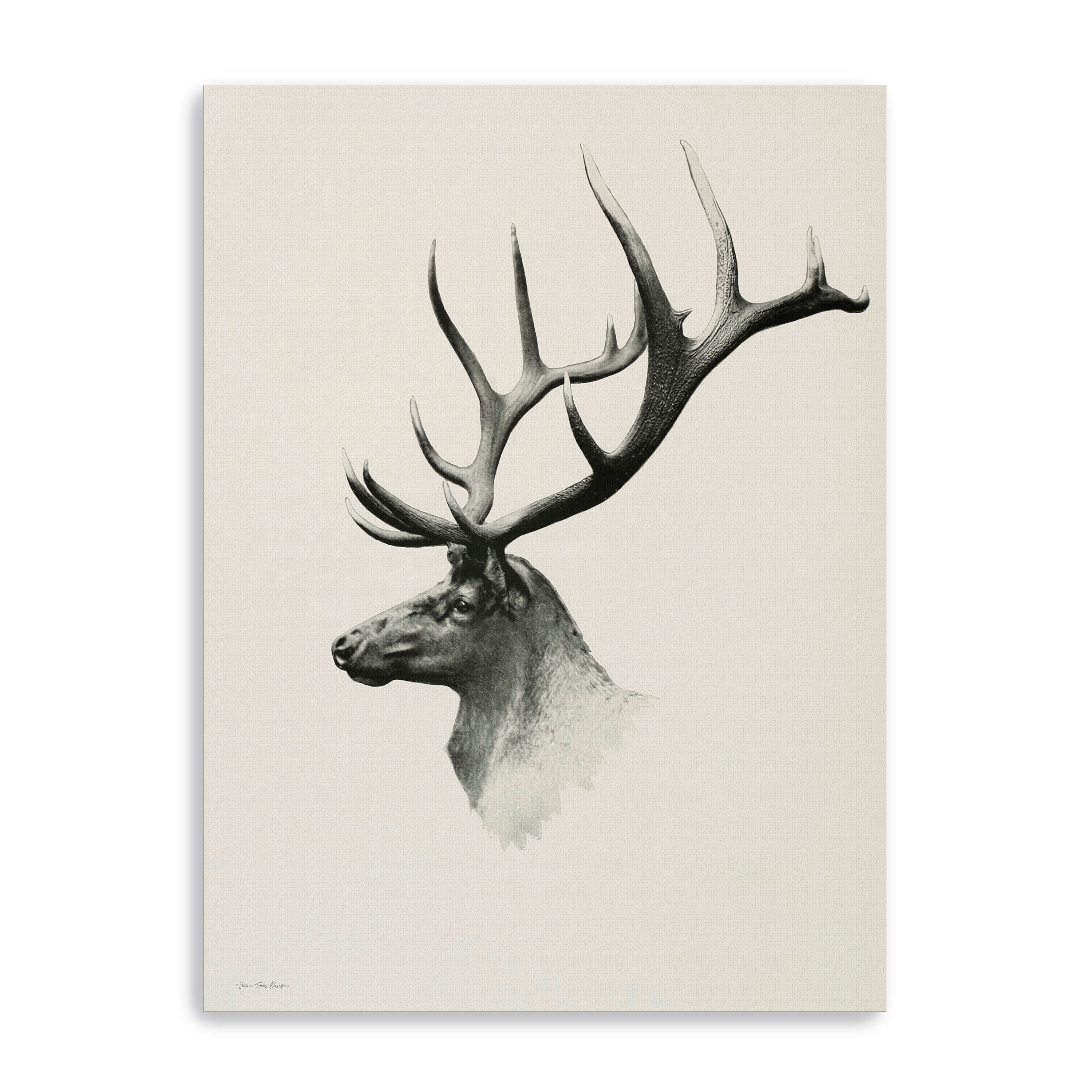 Mountain Reindeer Canvas Giclee