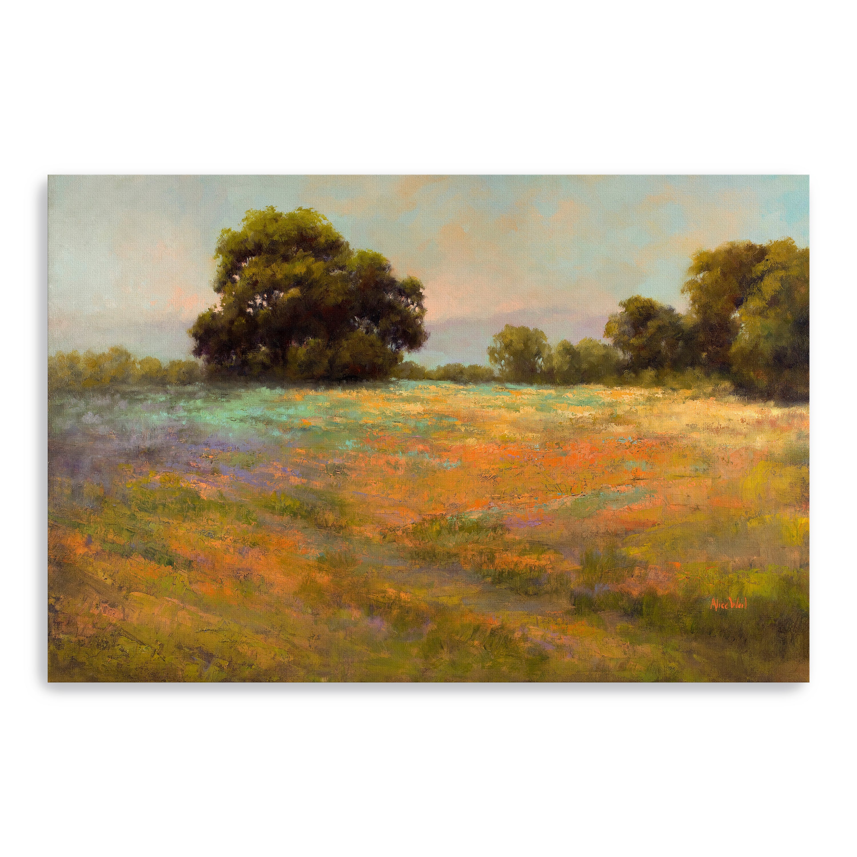 Spring Meadow Canvas Giclee