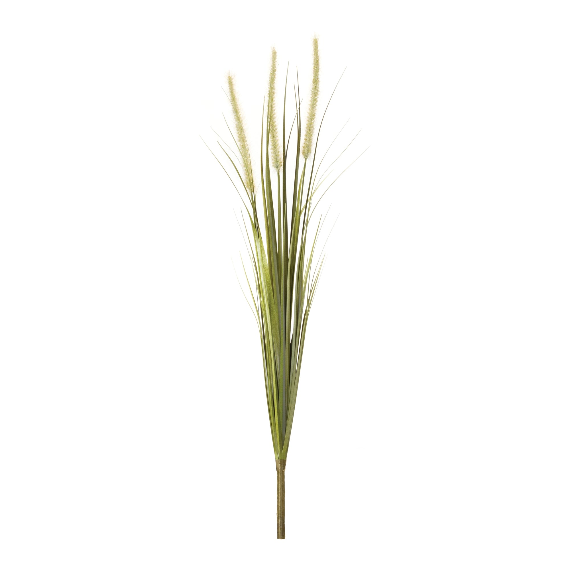 Foxtail Bush (Set of 6)