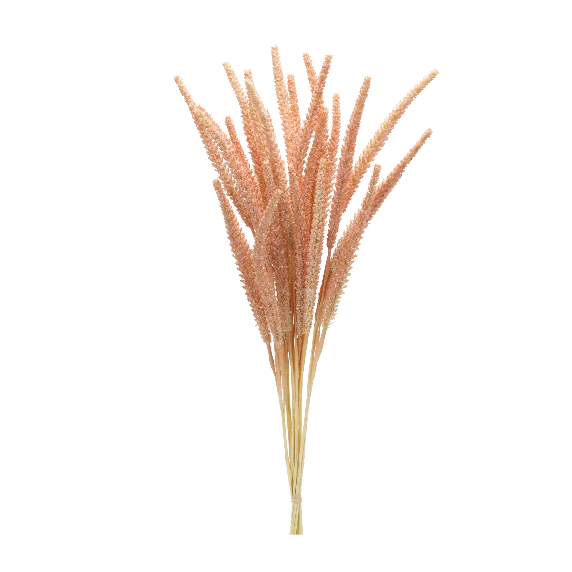 Foxtail Bundle (Set of 6)