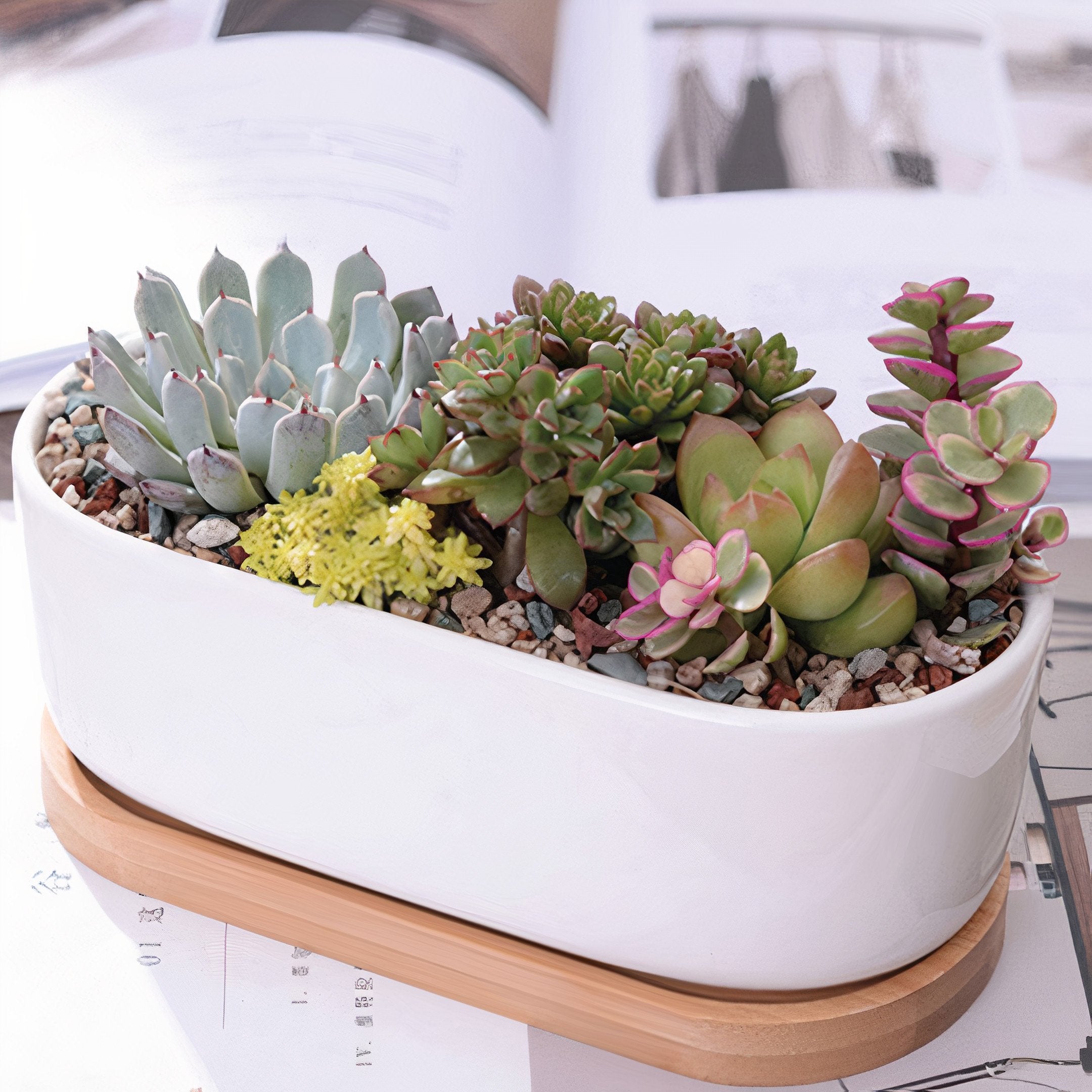 Succulent 7in White Ceramic Elongated Planter