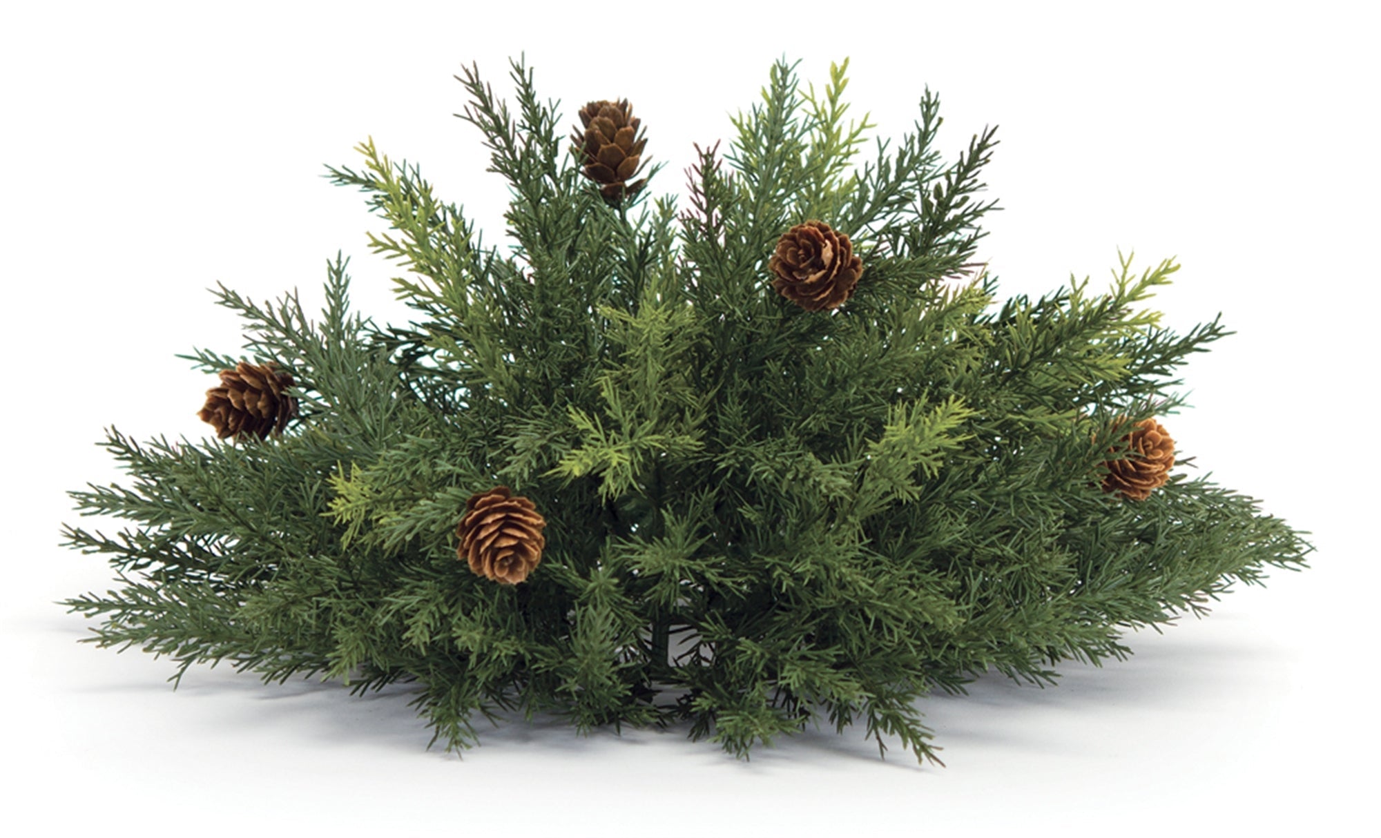 Arborvitae Half Orb 13""D