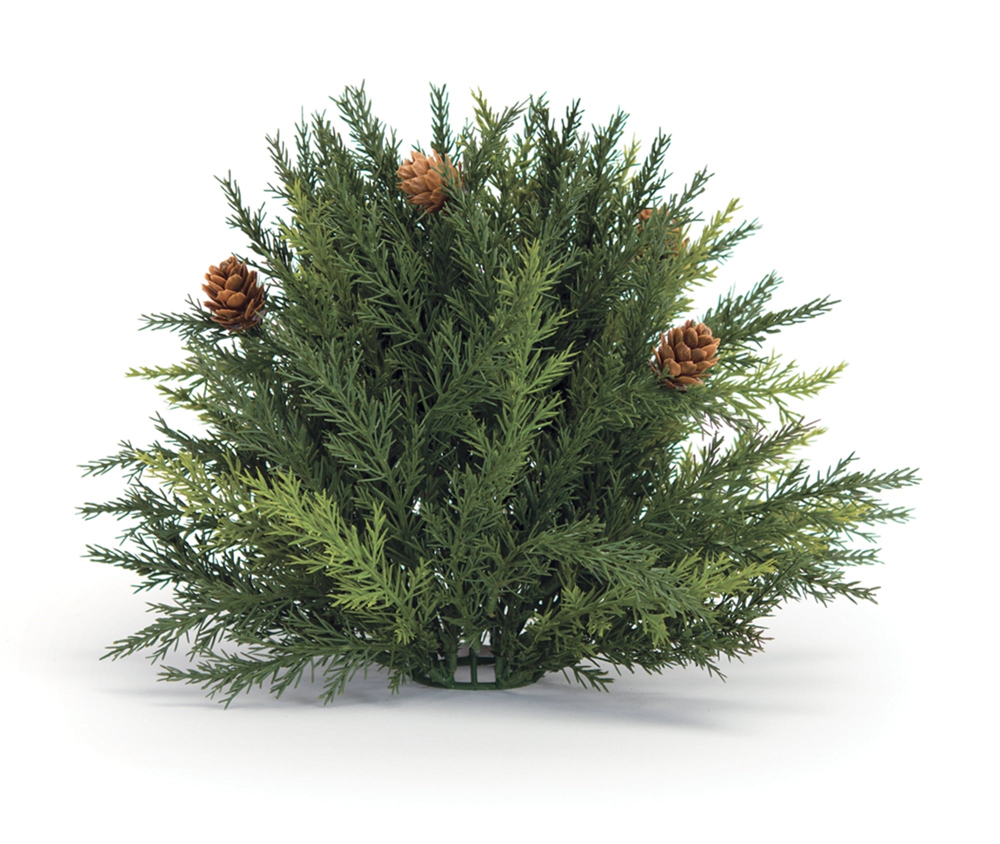 Arborvitae Half Orb 8.5""D