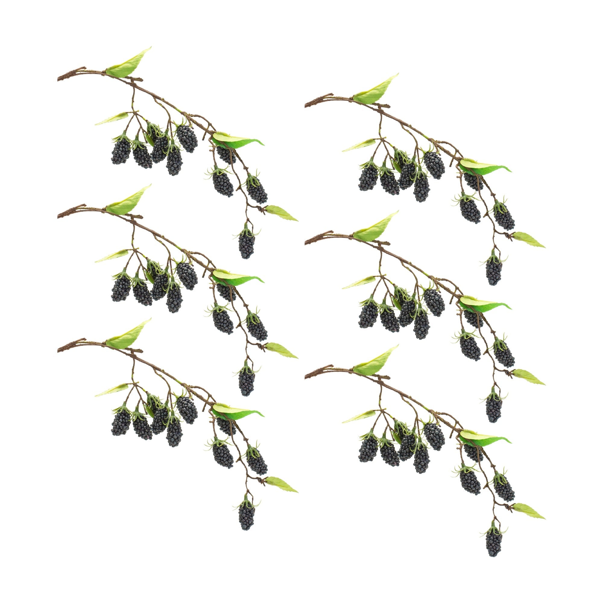 Blackberry Twig Vine (Set of 6)