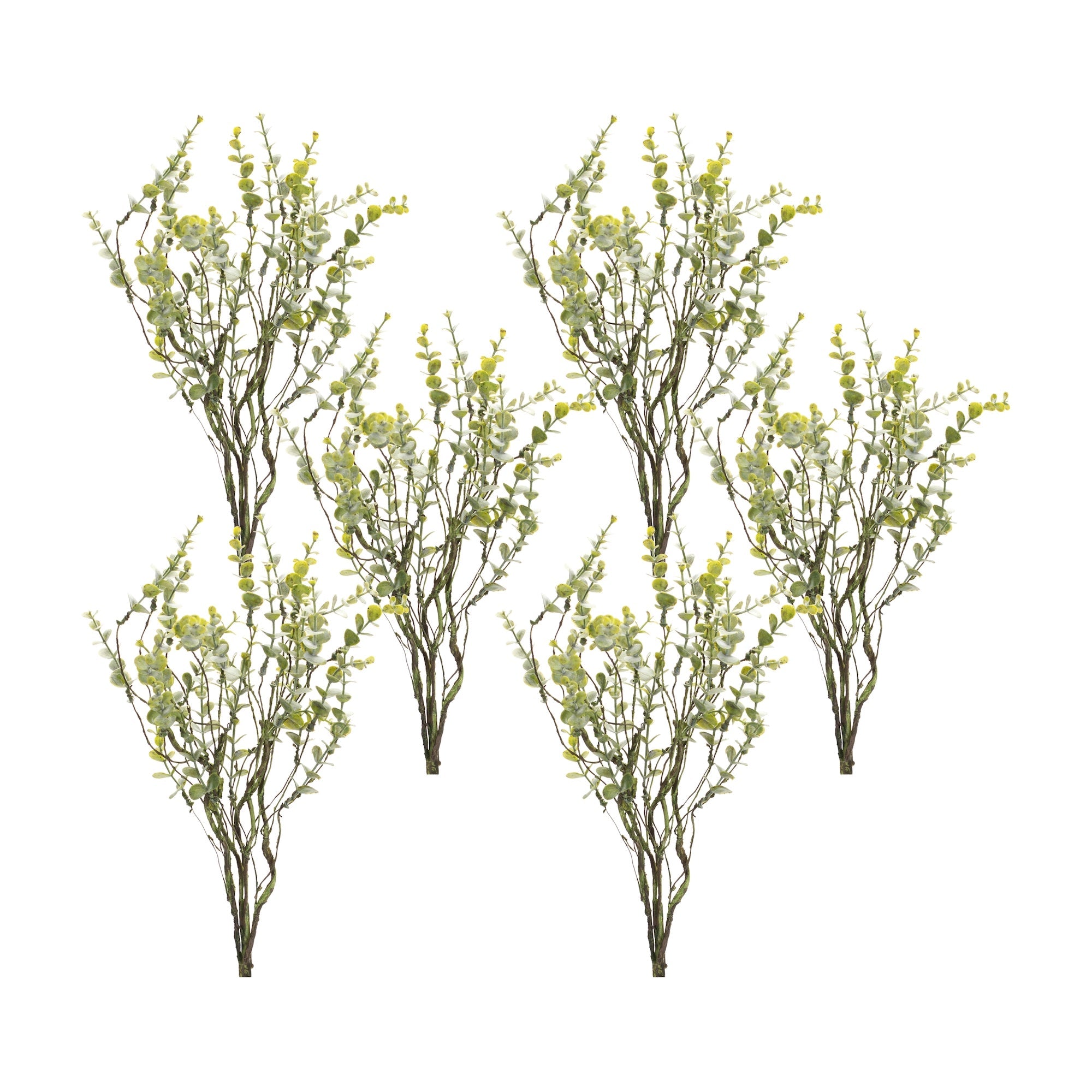 Boxwood Twig Foliage Spray (Set of 6)