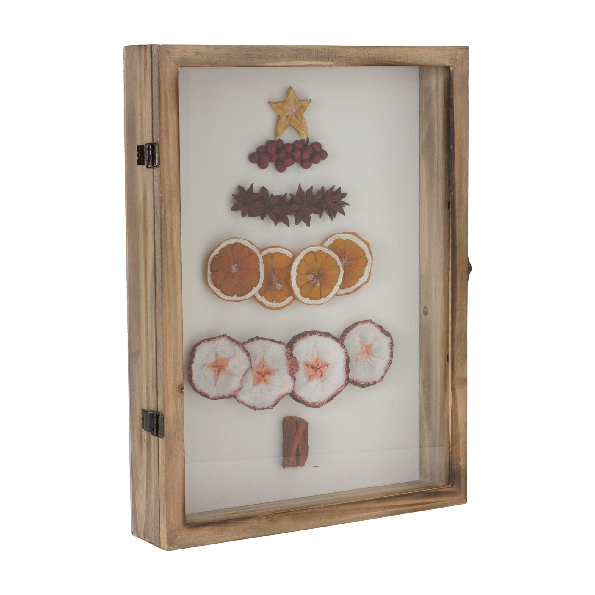 Dried Fruit Tree Shadow Box 16""H