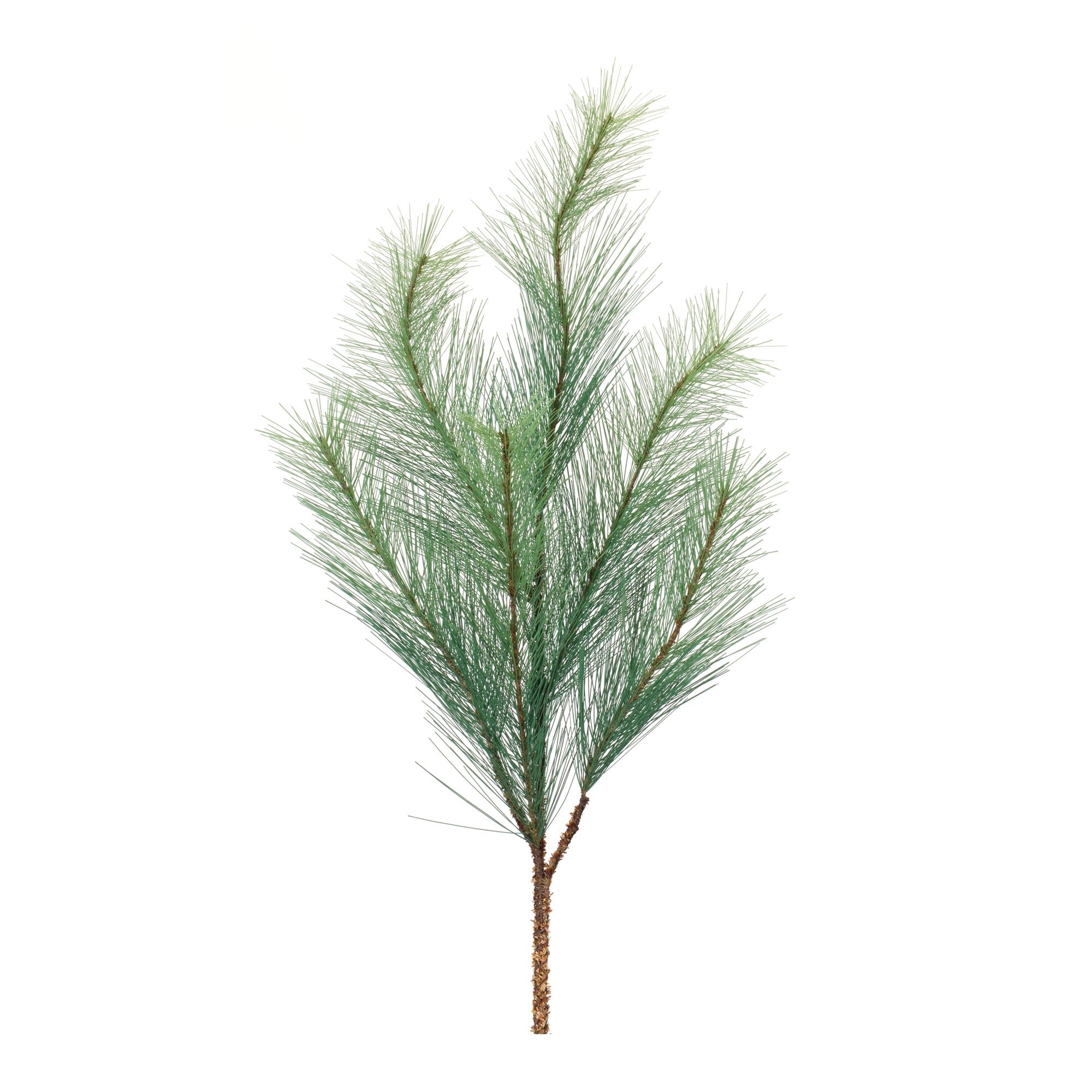 Long Needle Pine Spray (Set of 6)