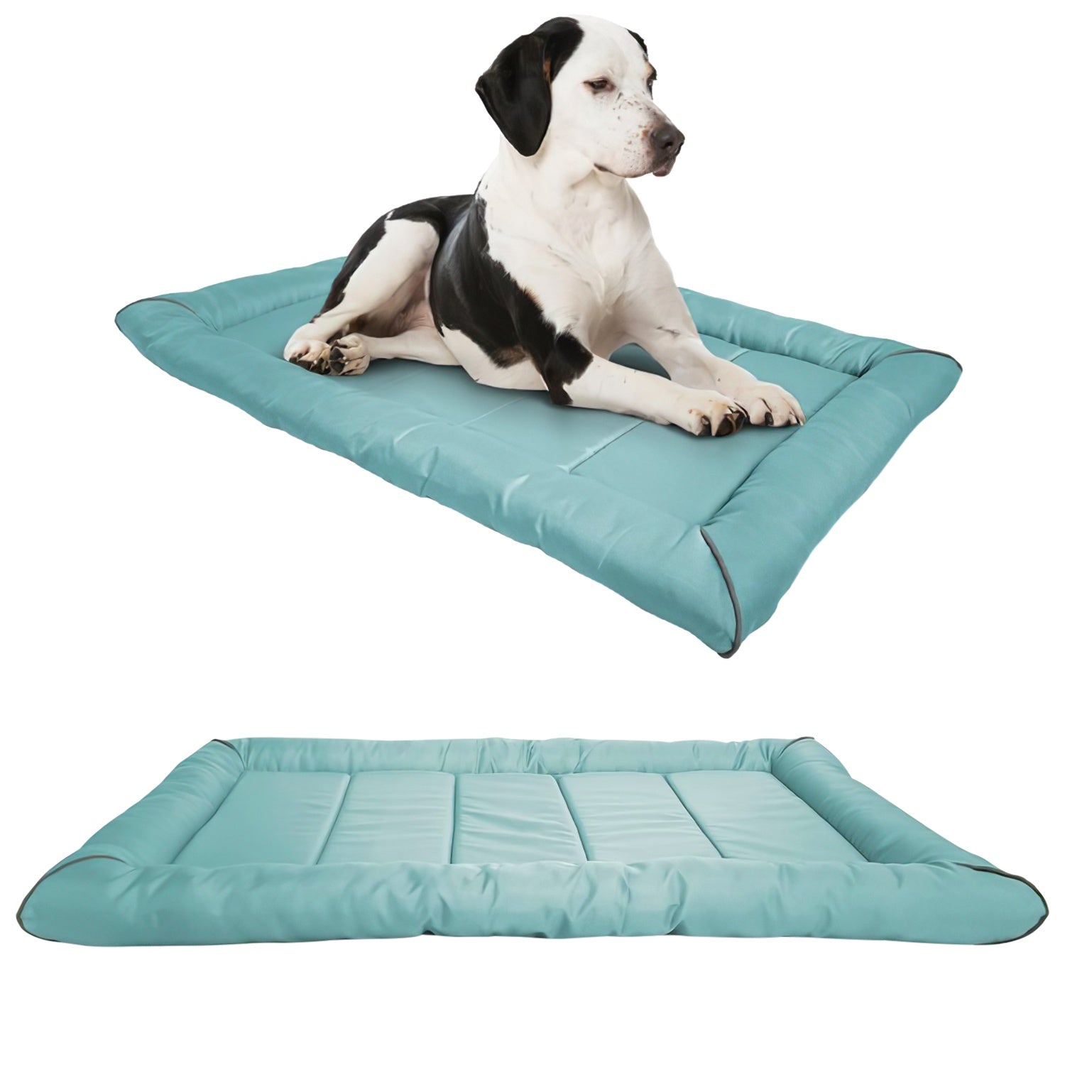 Precious Tails Xtra Tuff Crate Mat