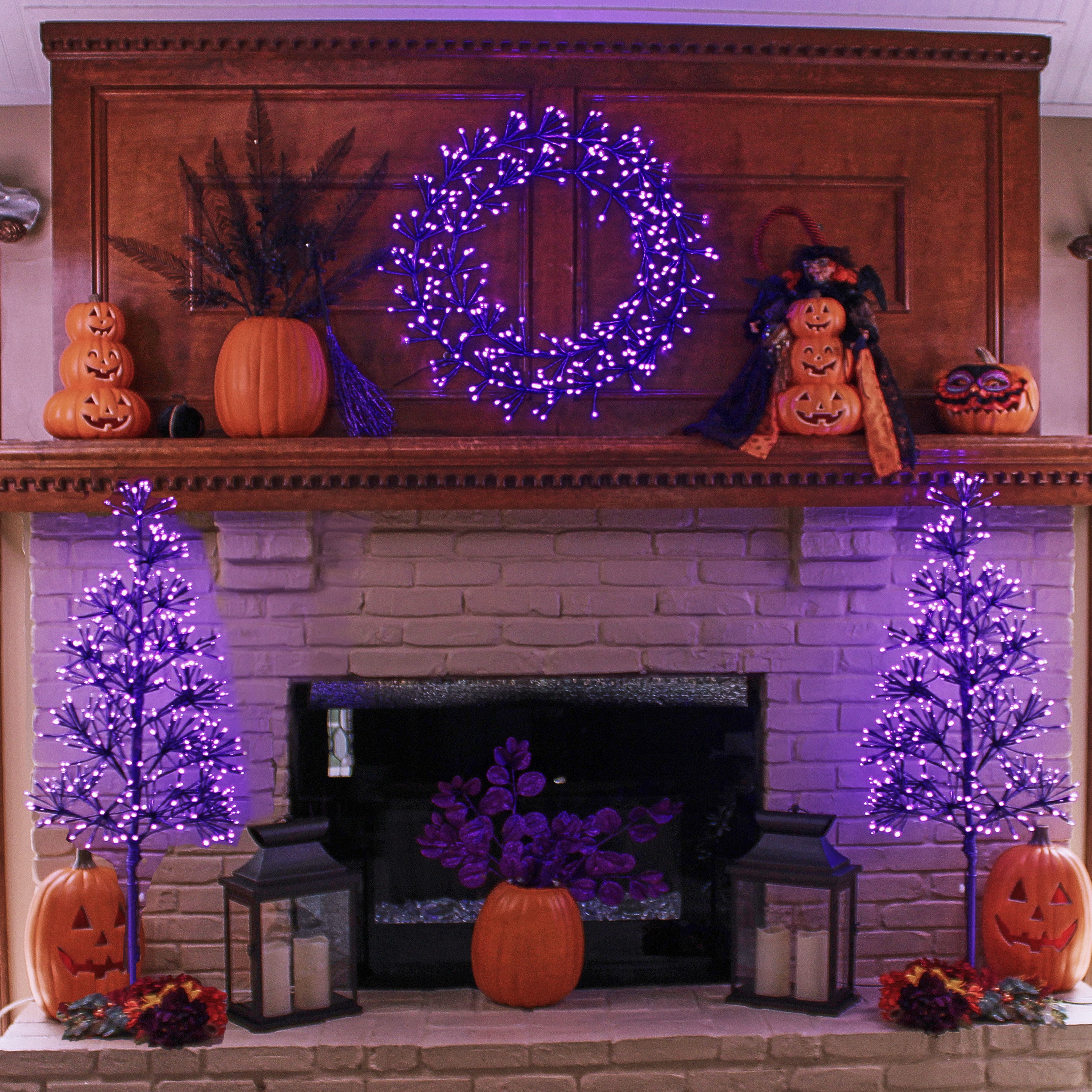 2' Micro LED Wreath with 280 Steady Burn Lights and 40 Flash Purple Lights 16.5 extension wire - Purple Frame