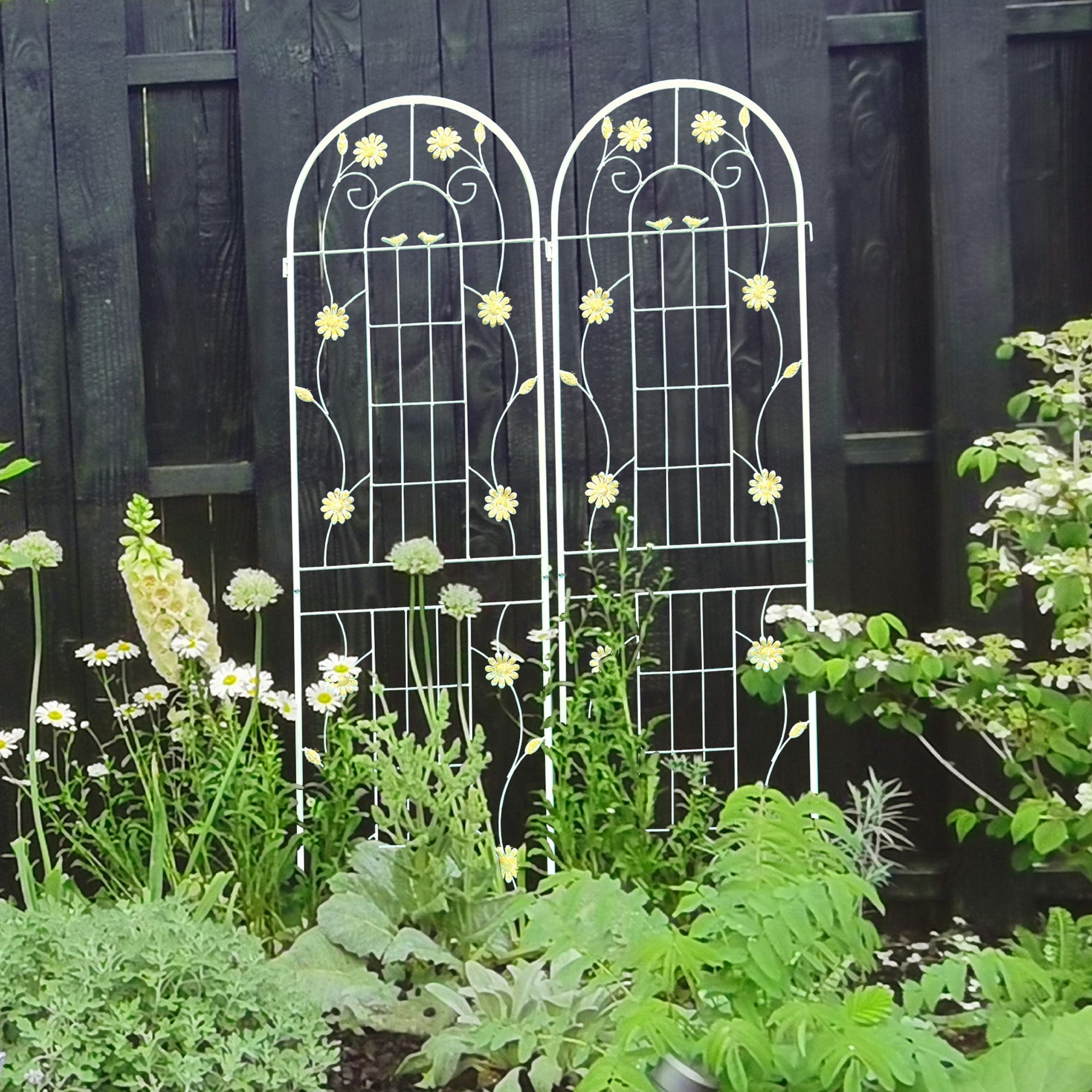 2 Pack Metal Garden Trellis 71 x 19.7 Rustproof Trellis