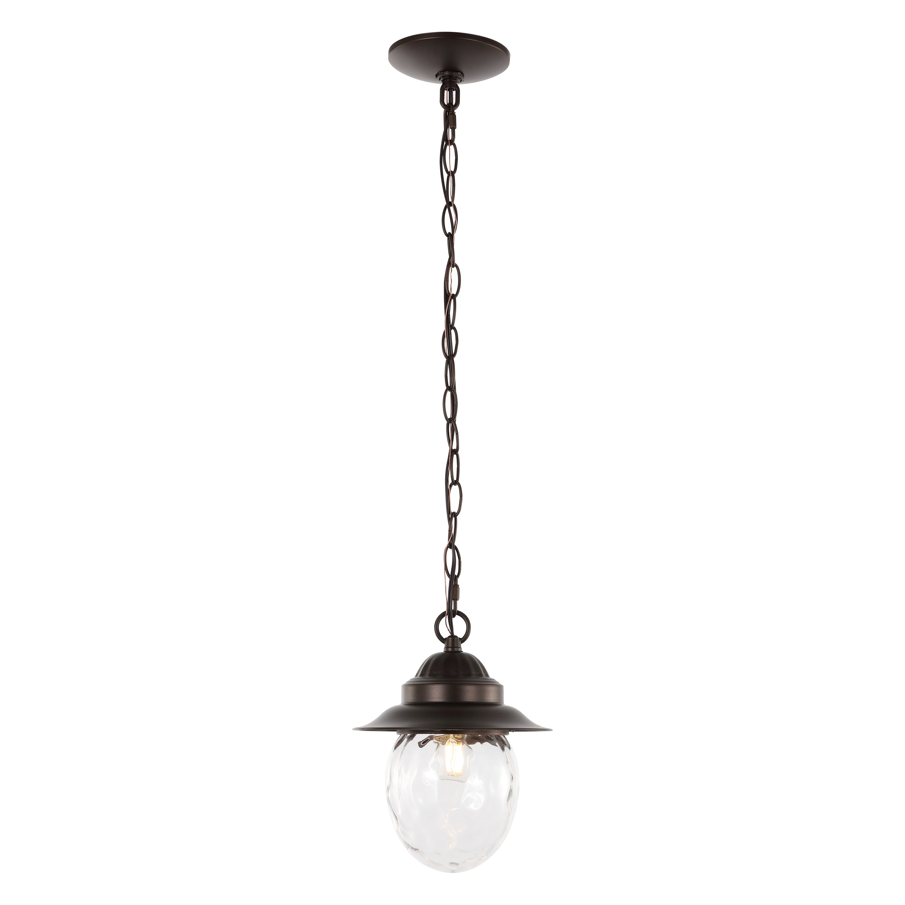 Manteo 1-Light Farmhouse Industrial Iron/Glass Outdoor LED Pendant