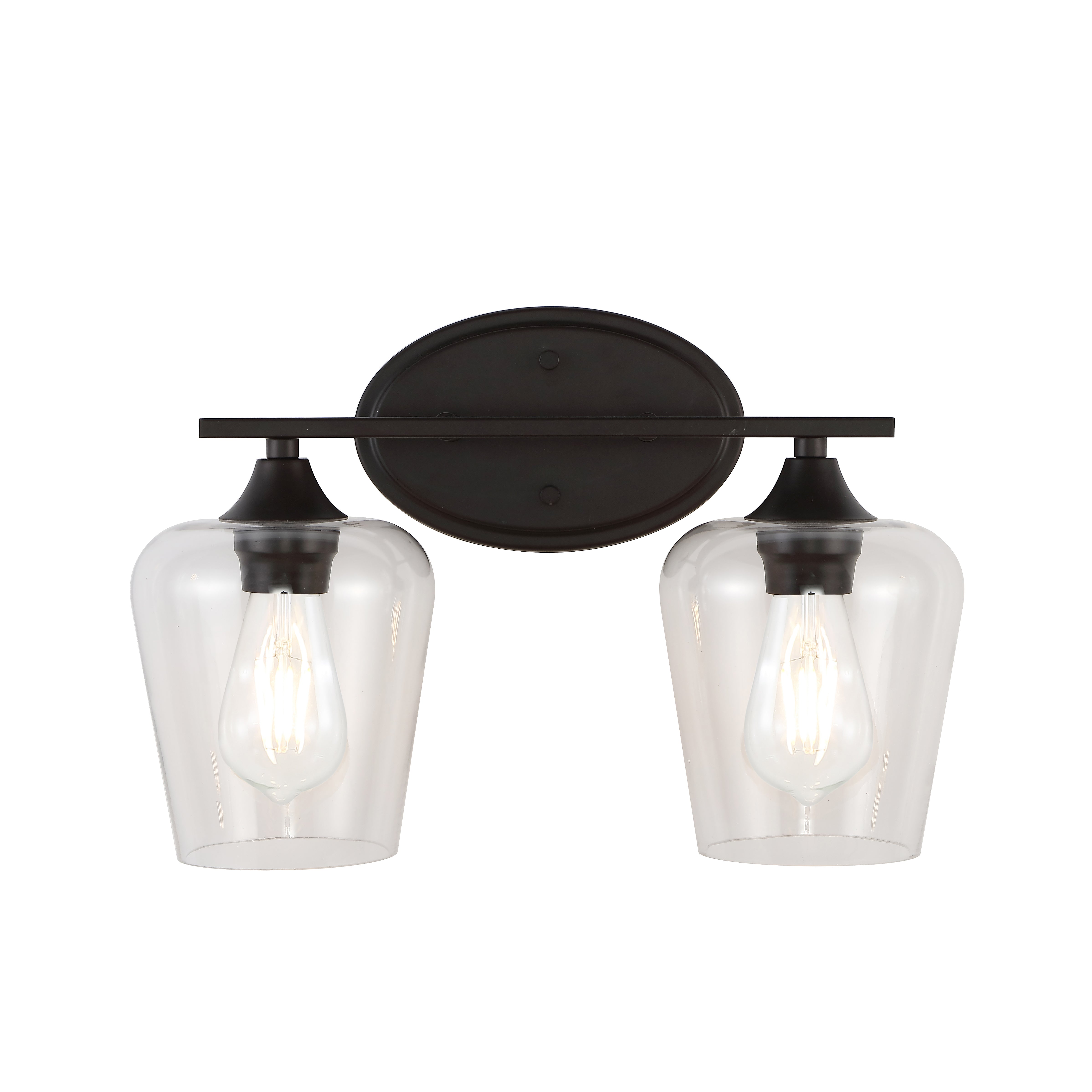 Jayne 2-Light Iron/Seeded Glass Cottage Rustic LED Vanity Light