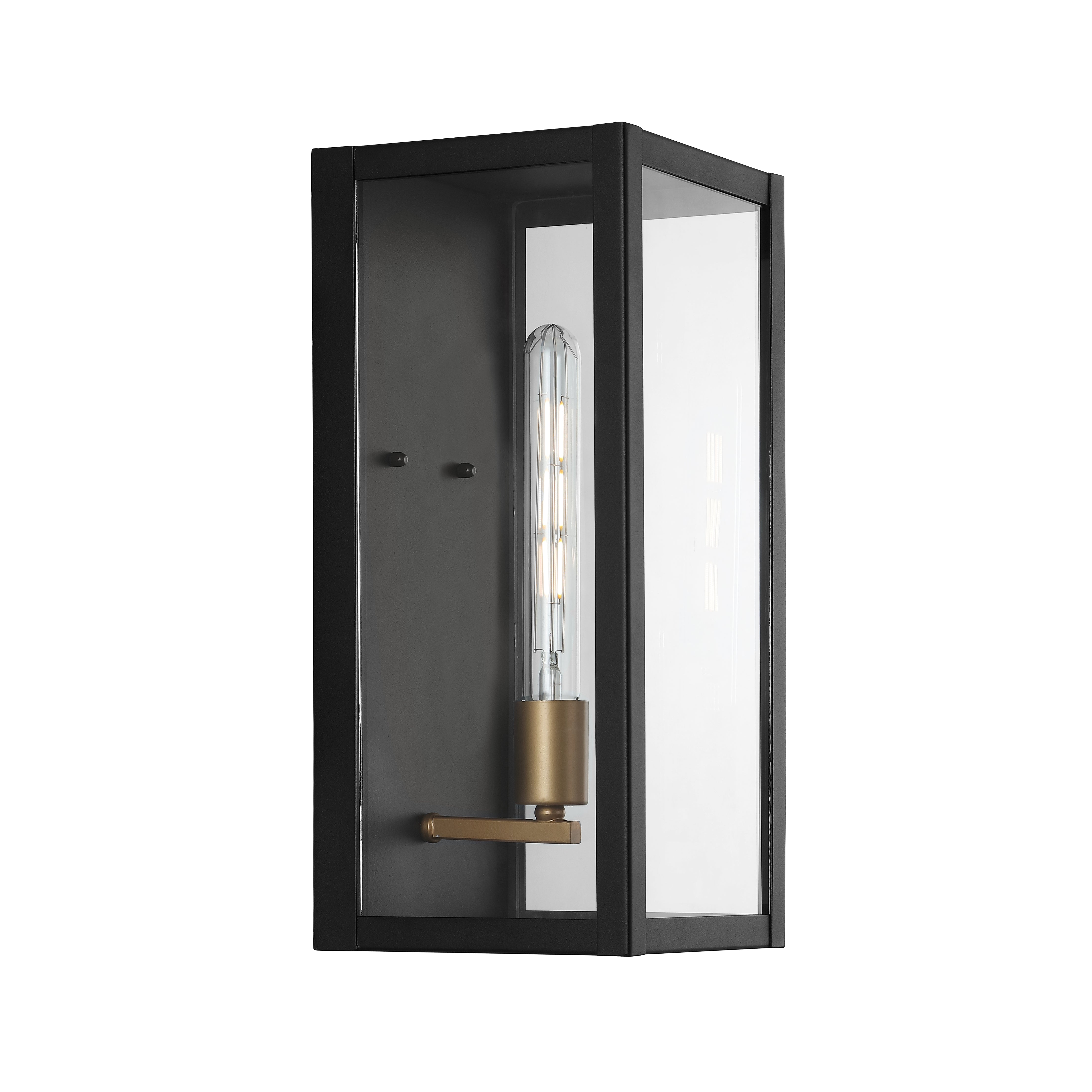 Berlin 1-Light Iron/Glass Modern Industrial LED Outdoor Sconce