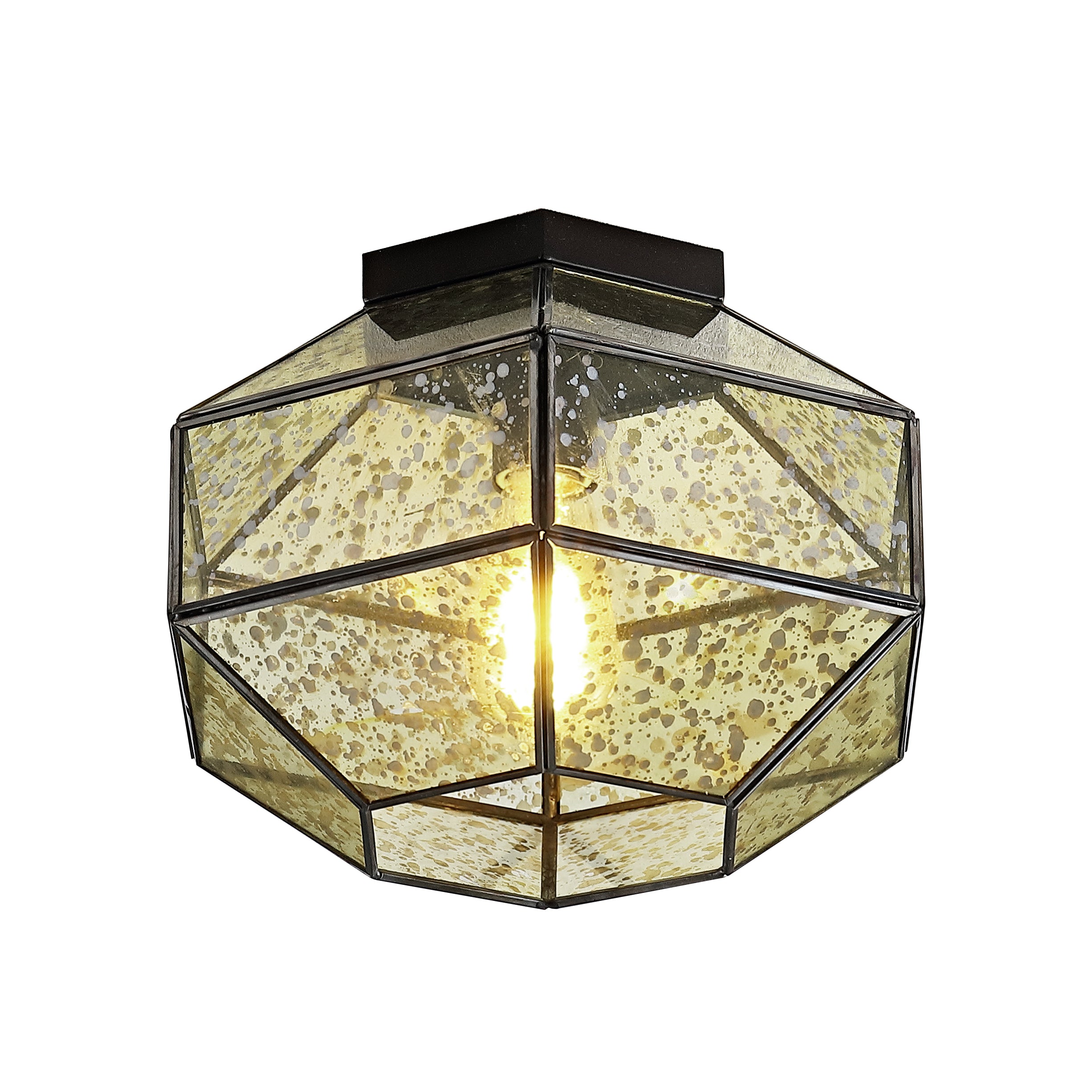 Evelyn 1-Light Vintage Farmhouse Iron/Glass LED Flush Mount