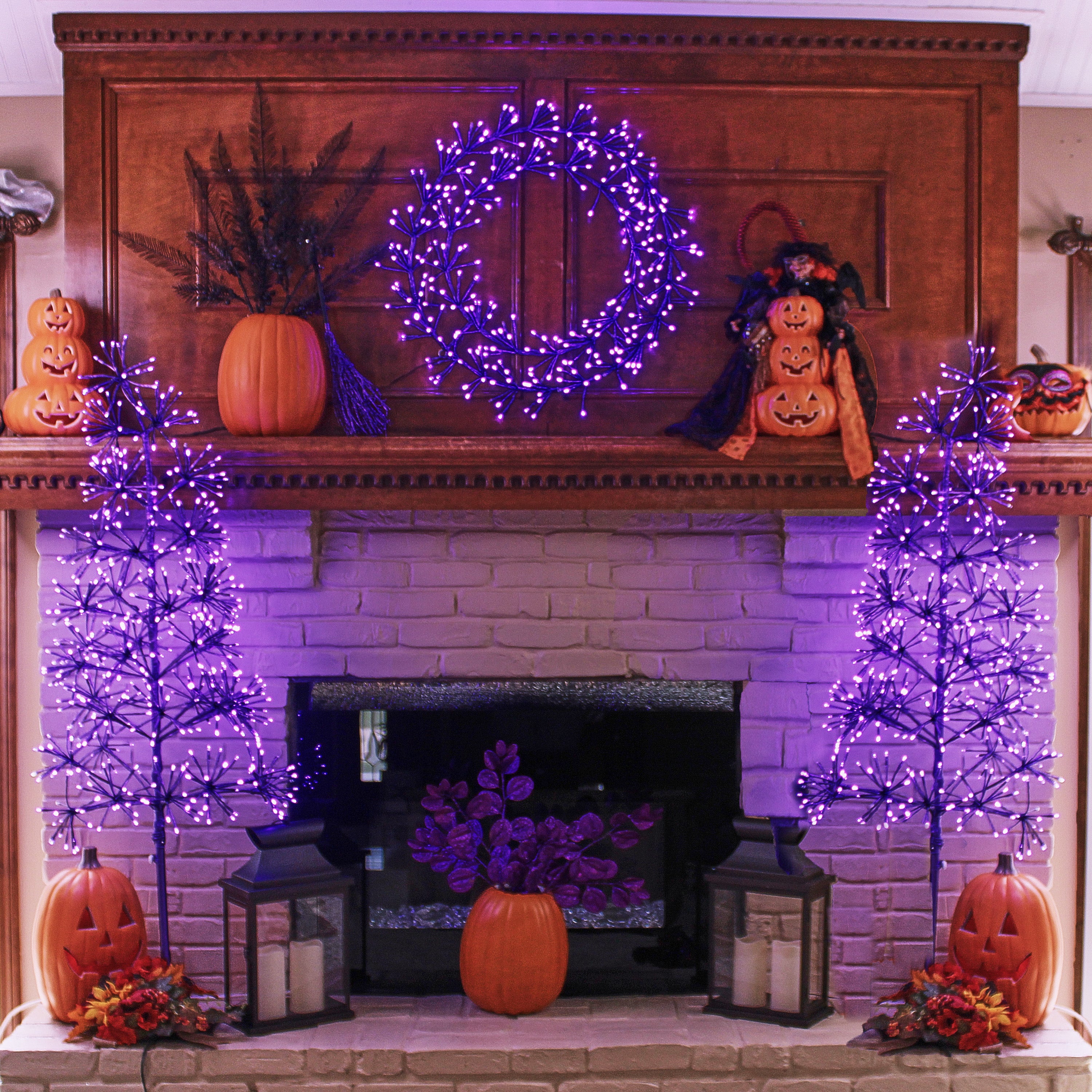 5' Purple and Orange LED Tree