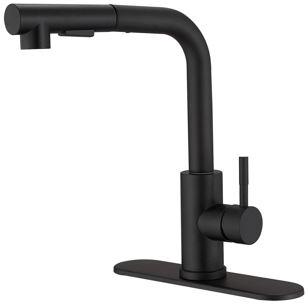 Single Hole Single-Handle Pull out Kitchen Faucet Black