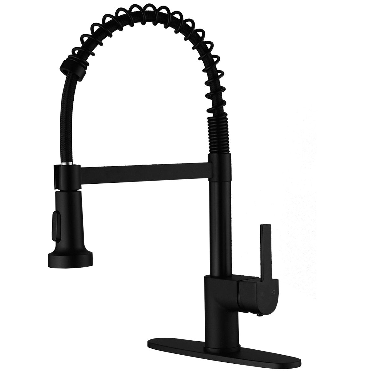 Single Handle Kitchen Sink Faucet with Pull Down Sprayer Black