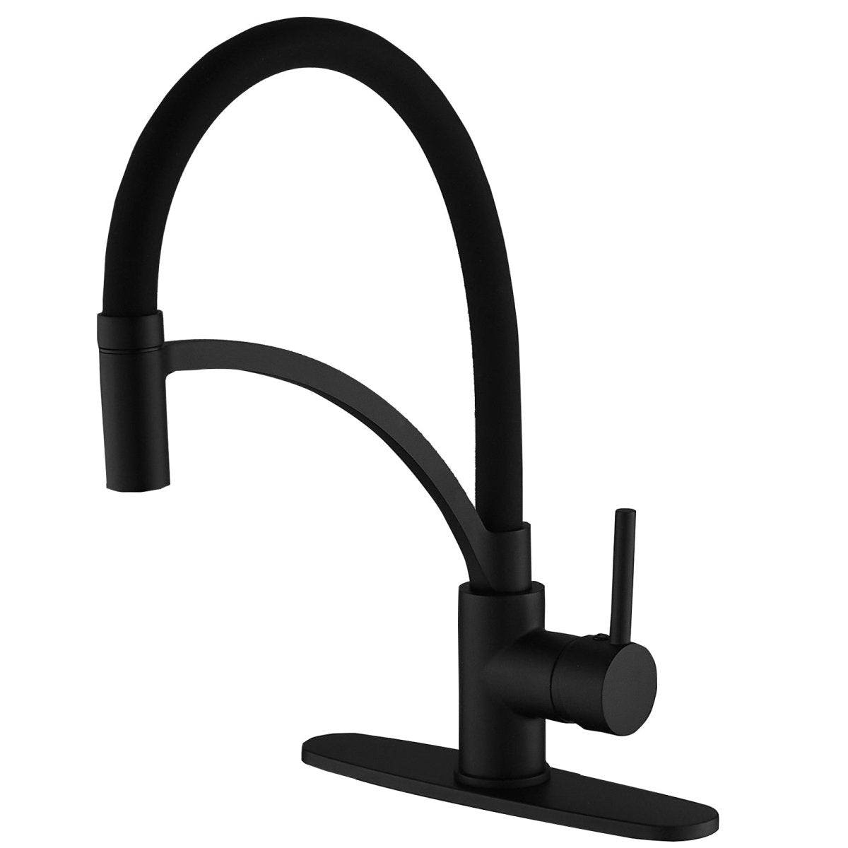 Single Handle Kitchen Faucet with Pull Down Sprayer Black