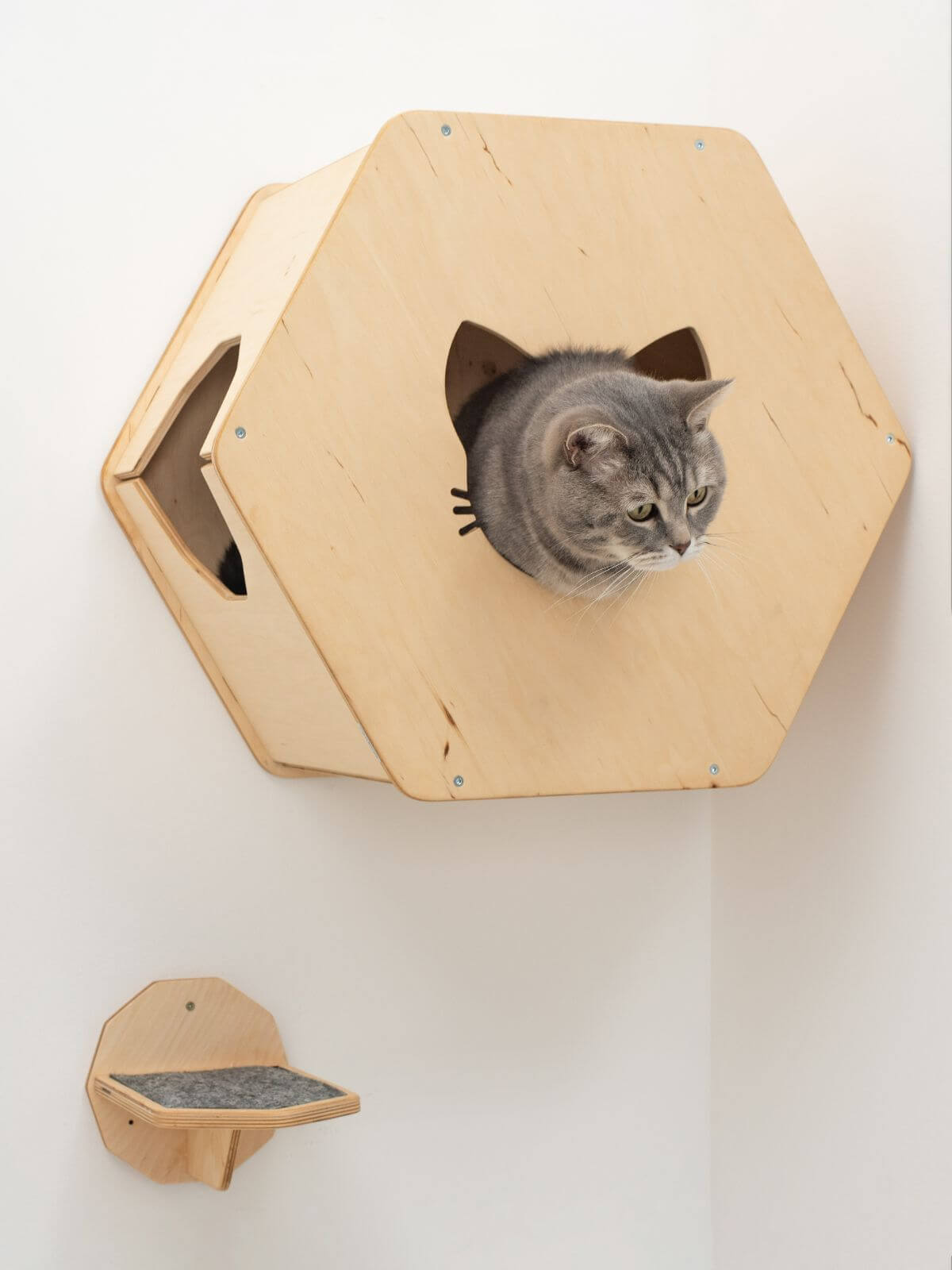 Cat Wall Mounted Bed